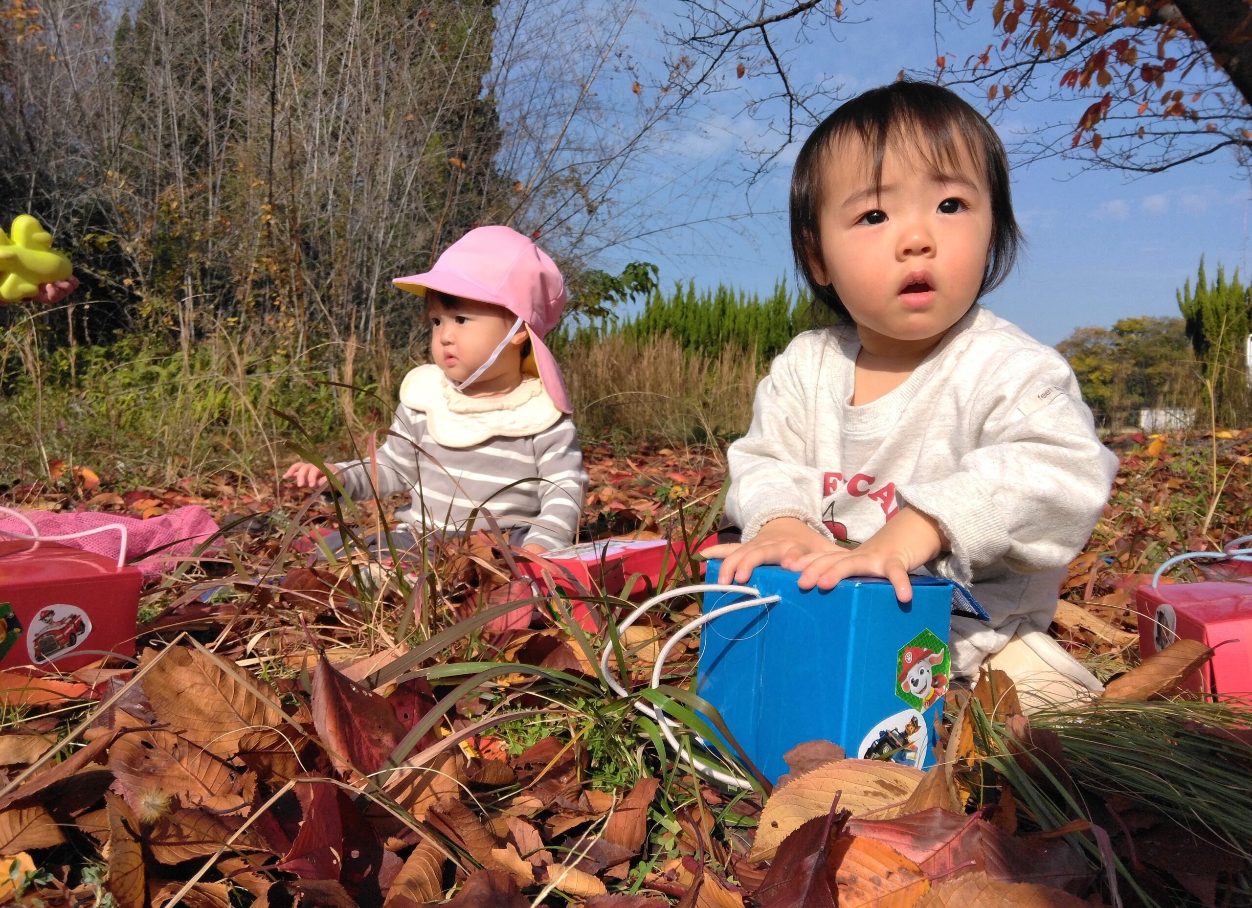 夢じゃき園HABU｜松山市西垣生町・南高井町 松山市認可小規模保育園